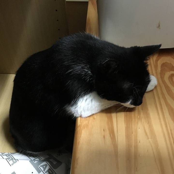 5f83a315 5ecd 459d 8074 97ca87e42597