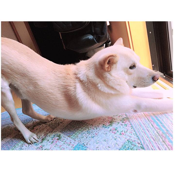 5f841570 874a 4eb0 a611 c04c0c03493c