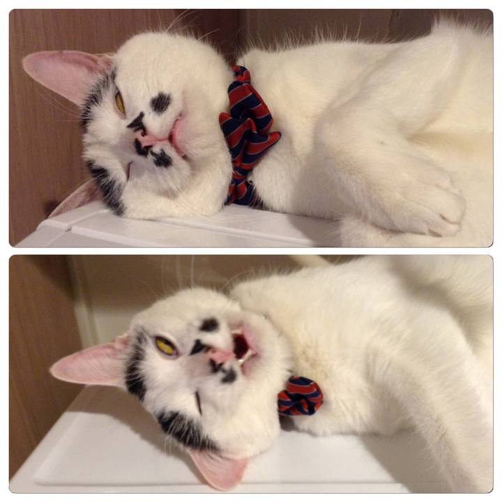 5f843a4f 38b6 4bf1 9d34 770221c9d46b