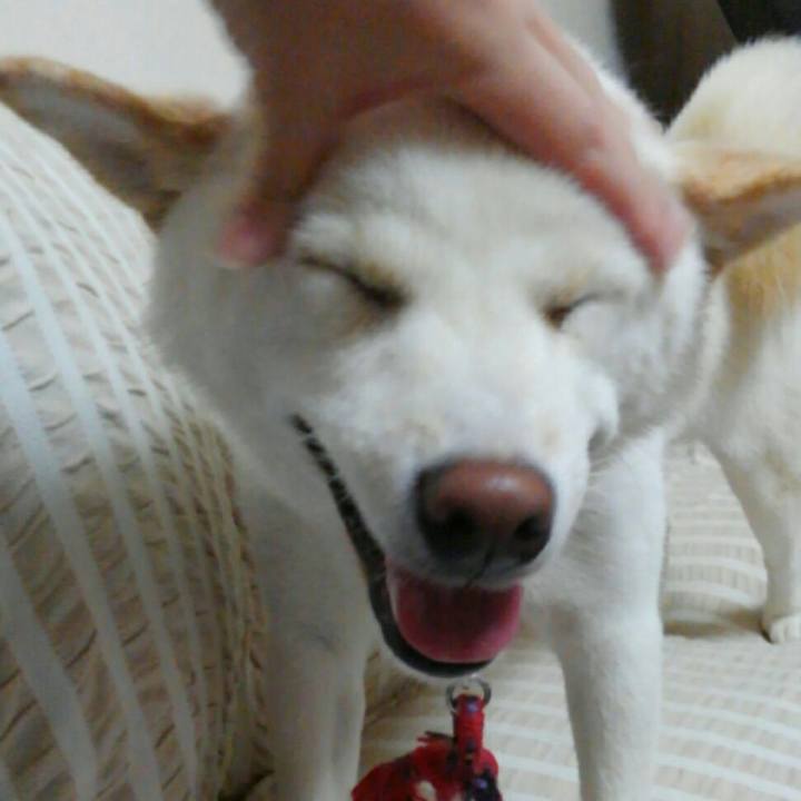 5f84be22 ae13 4e6e 8edf be89ec56de9f