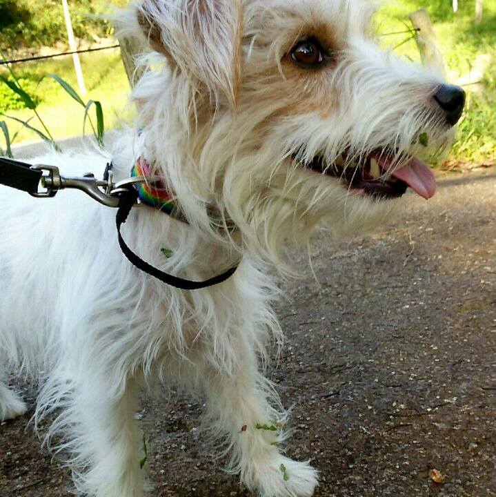 5f84f6b2 a5fd 4979 9d0c ddf248509712