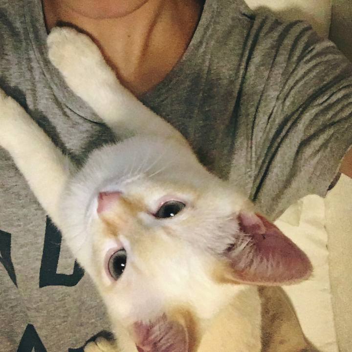 5f8550ac 62cb 4bb4 a727 663f85c669d6