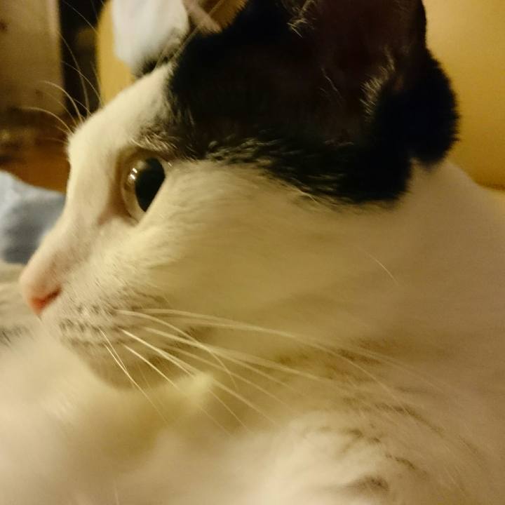 5f855ad1 07f0 4b2e 8a5c 1e286e30d6ea