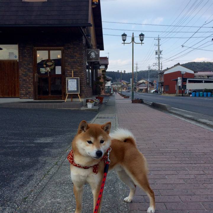 5f8579e8 2c4b 4ec5 bfe0 1641dfc673ed