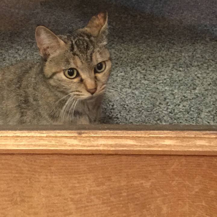 5f857b05 3c86 4d06 bb4c c389bc61df08