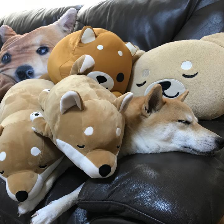 5f85d675 18d9 4ef9 820c 8014cab55233