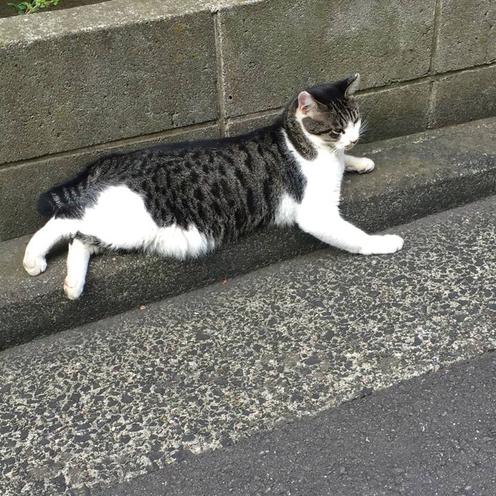 5f85f9d3 1c4b 4bb0 984b 3274927158cd