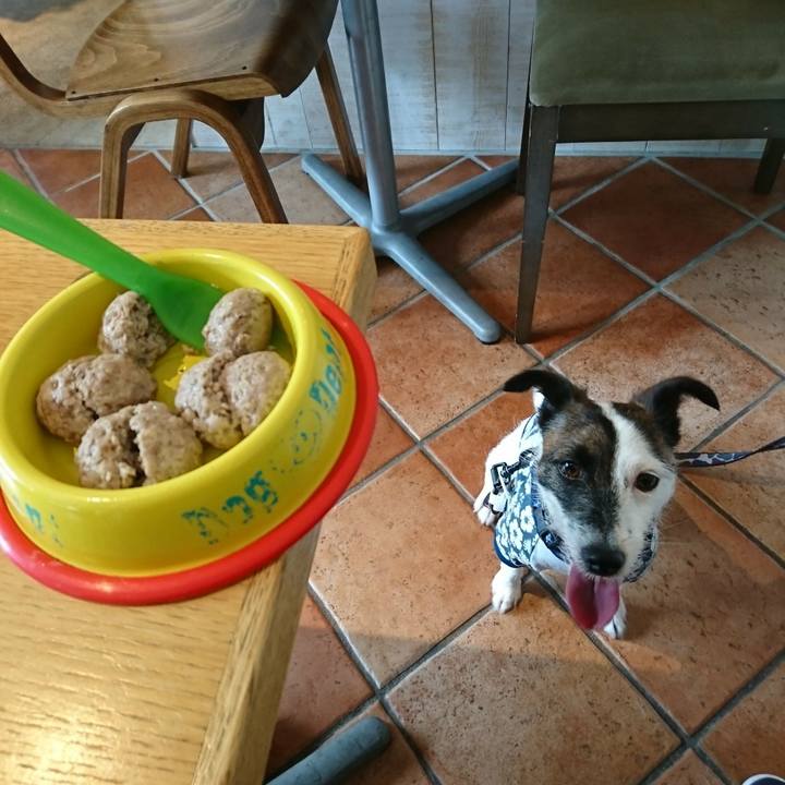 5f86982c 51fb 43b0 bdfe d5ef54f7ae45