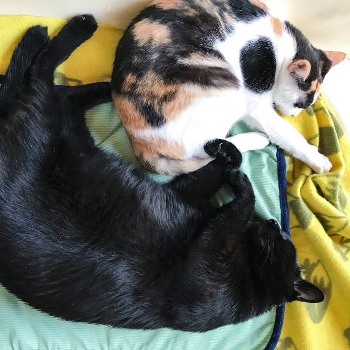 5f875b69 f672 4c21 be54 36b75d322952