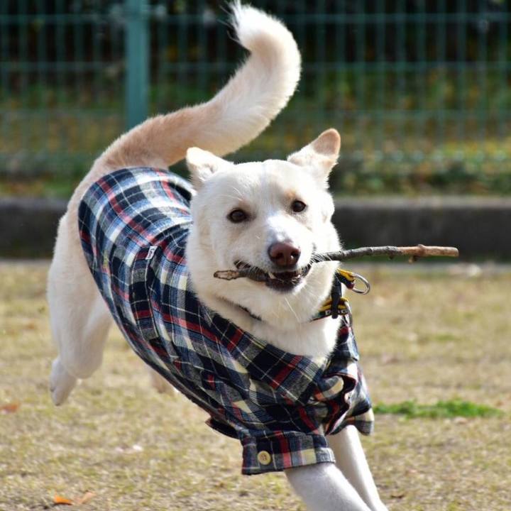 5f876dd8 99f4 4224 91a5 7bd62974d387