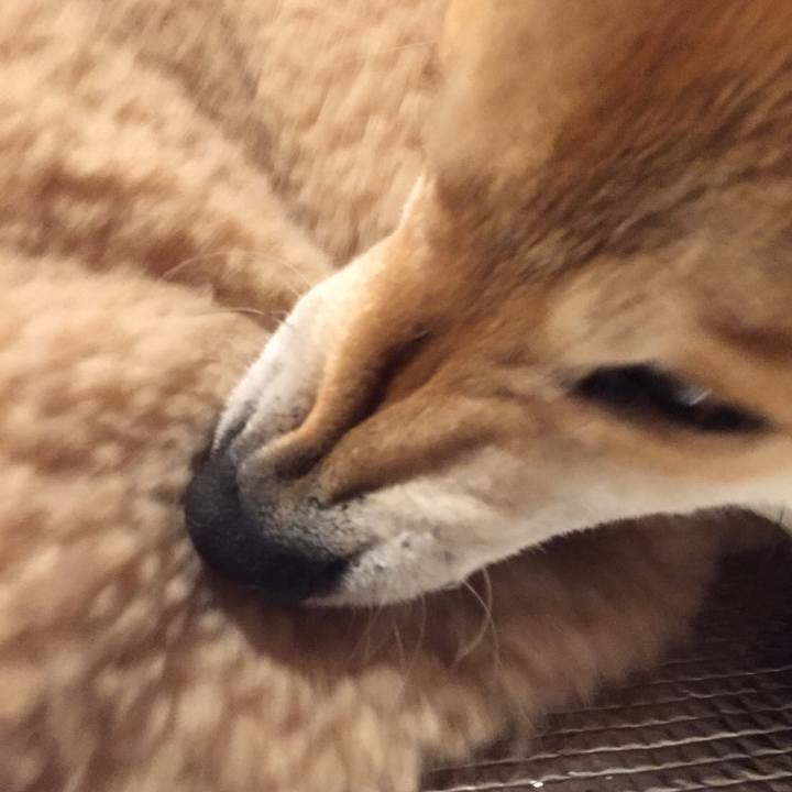 5f889299 4877 4f26 8689 388b0b84246f