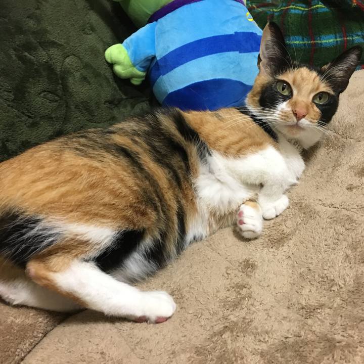 5f8a2850 a0b0 4599 a030 89681979730d