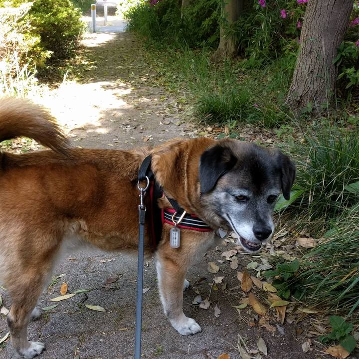 5f8a8700 fed8 44af 8214 6801b3dc81f0