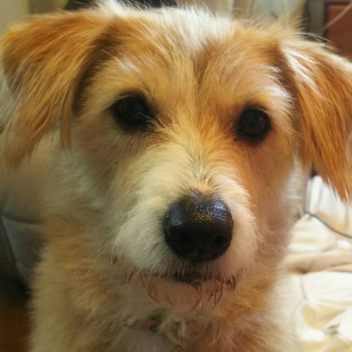 5f8ae841 6535 4d85 87b4 1222c7574d0a