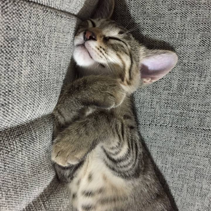 5f8b1cf4 84fc 40e6 a951 24fd748d37bd