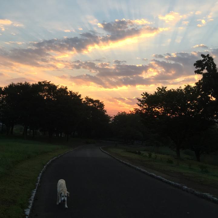 5f8be130 4498 4c65 b857 8fb587f643fe