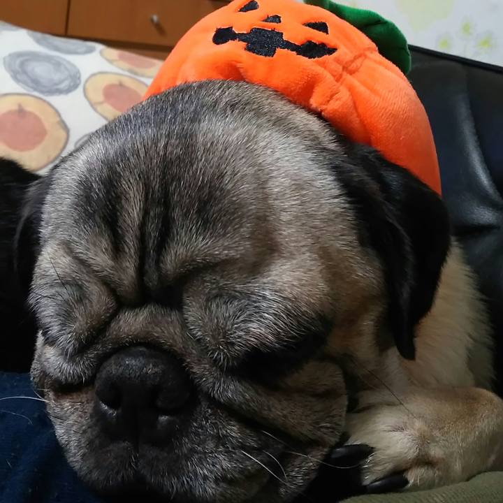 5f8c204e 1fae 4728 90fe cd523c79225c