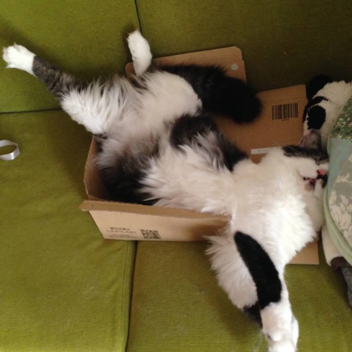 5f8d5fa2 7422 453d 984b 531dd05b5750