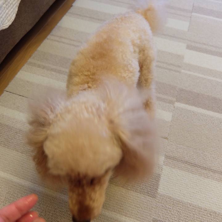 5f8d95d4 16ab 4f3a 87d7 97df0e9cc6db