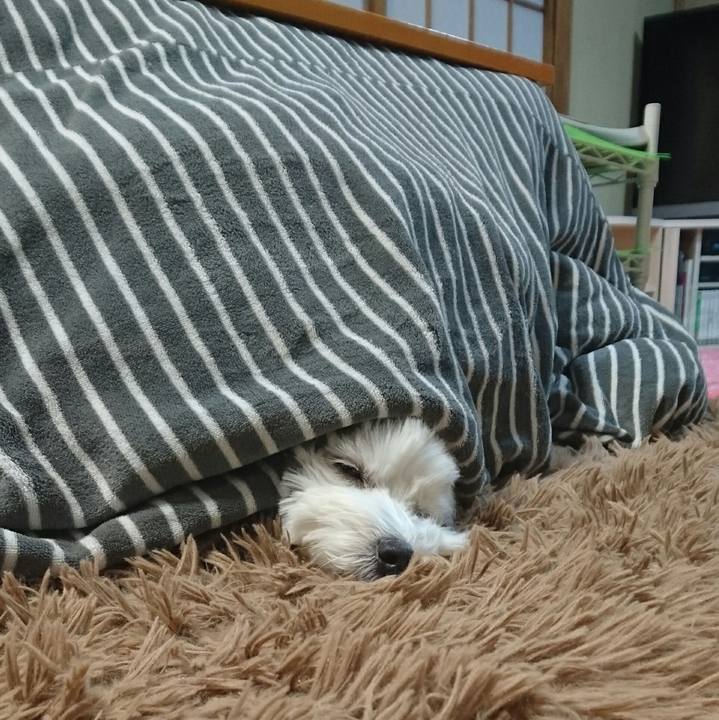 5f8da1d4 af9b 4a6a a2ff 860711c37d1e