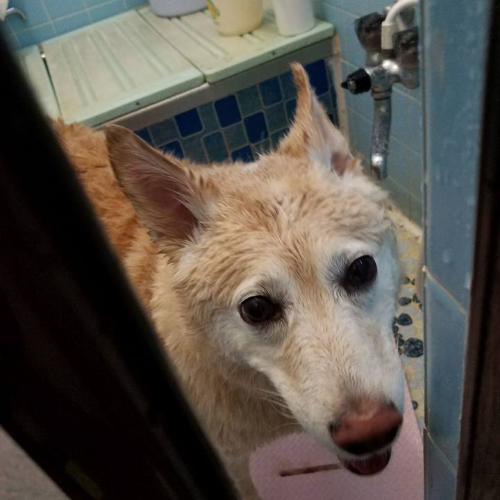 5f8dc93a 3b29 41ae 8ad4 1837a0387029