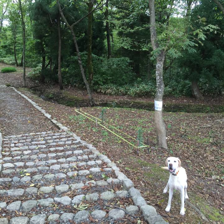 5f8e27d8 ead9 4bcc 9b53 aae13a9a2c62