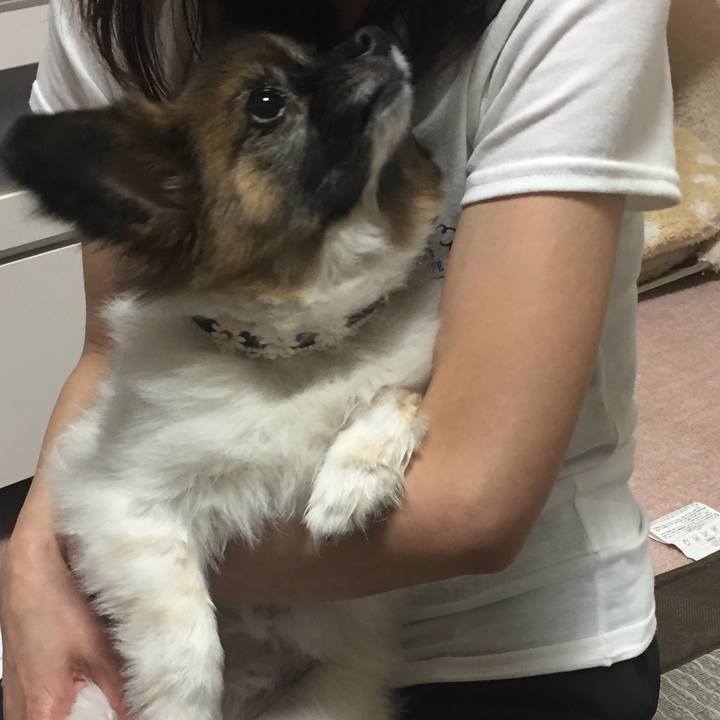 5f8e6228 a3dd 4da6 af48 b5b219733c59