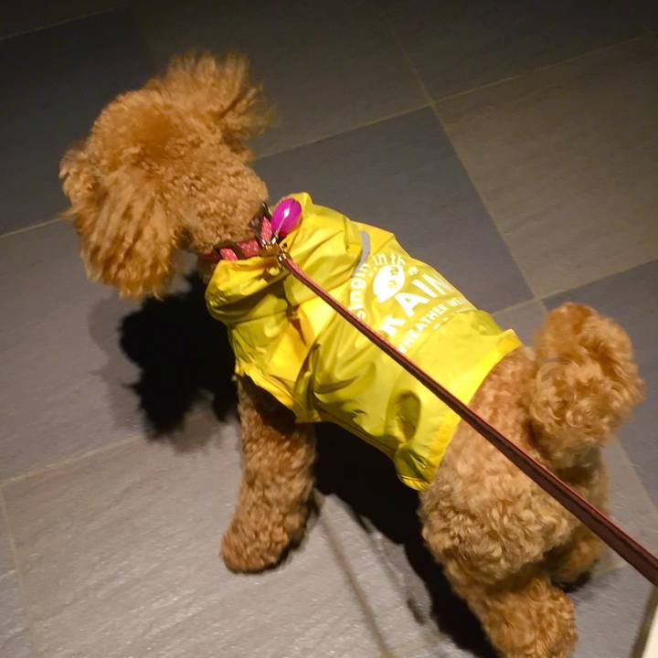 5f8ebcfa a85d 4312 ba30 90f9d5b44273