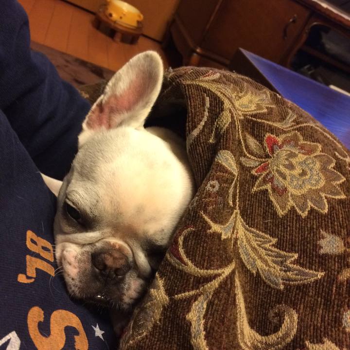 5f8ec2b9 e343 4f33 8088 f3c957d9f98a