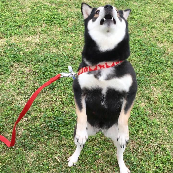 5f8f000c 7adf 4805 abc8 b7f29a5fd1dc