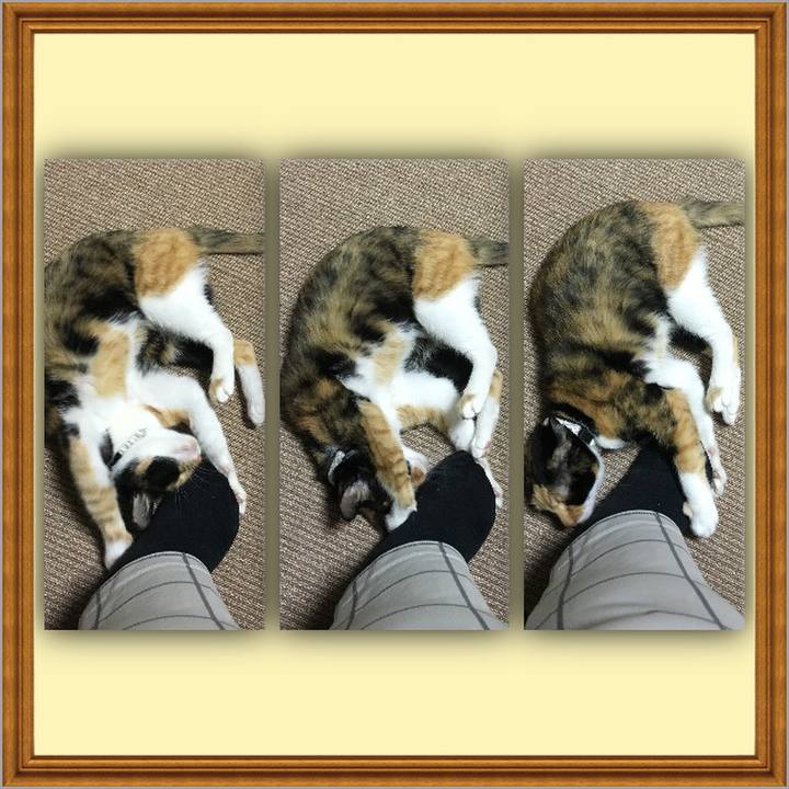 5f8f7b61 079d 440f 9b20 a455d476f909