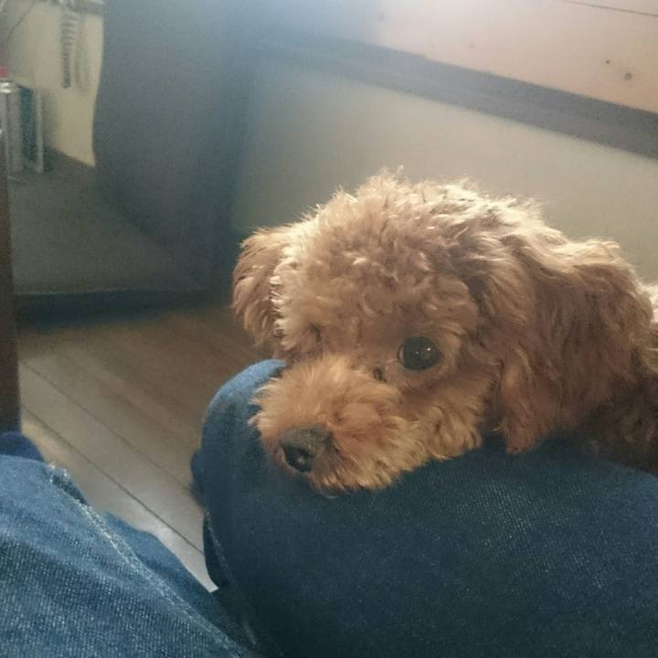 5f901b3d 2571 4aec 9ff9 9183f1a5843f