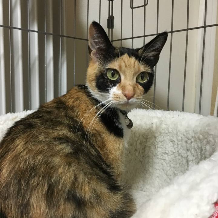 5f906538 2854 41ce 9434 b8714326a7c6