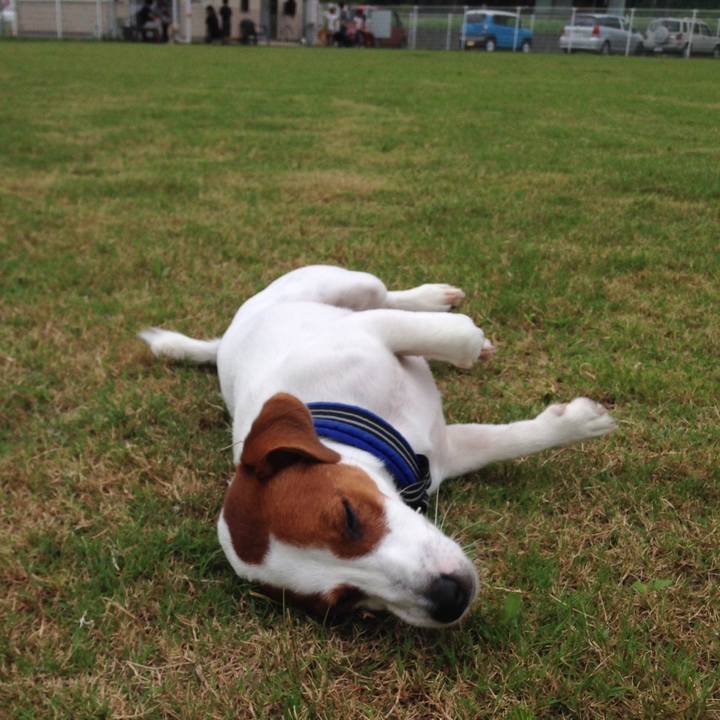 5f90a7ce 7403 46df bb0a 8af19ee36ee4