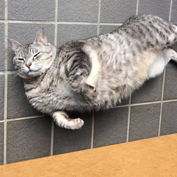 5f90e22d f84e 47b6 ad1c d9be240d8b88