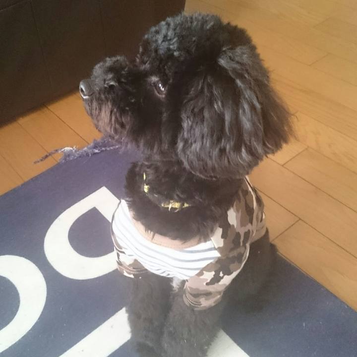 5f90e55c 6b29 4859 9901 b0b88c11c93f