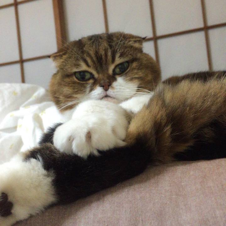 5f91050c ed85 4fe5 b574 48de20ba22ad