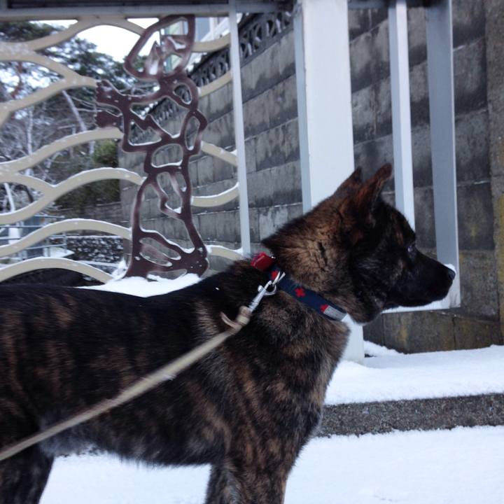 5f9143ee 65d6 4e28 8e63 32ef47bb316a