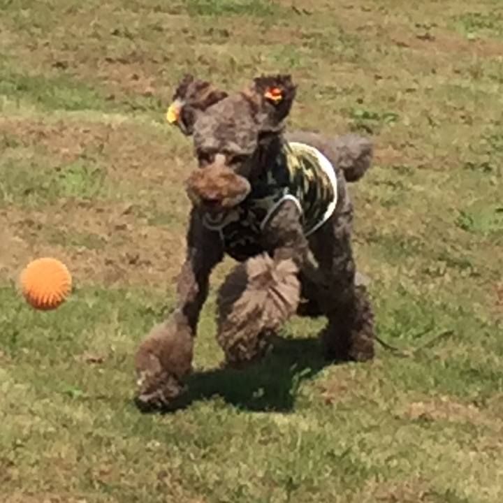 5f9178ff d32f 4844 bc4b a75116924aaf