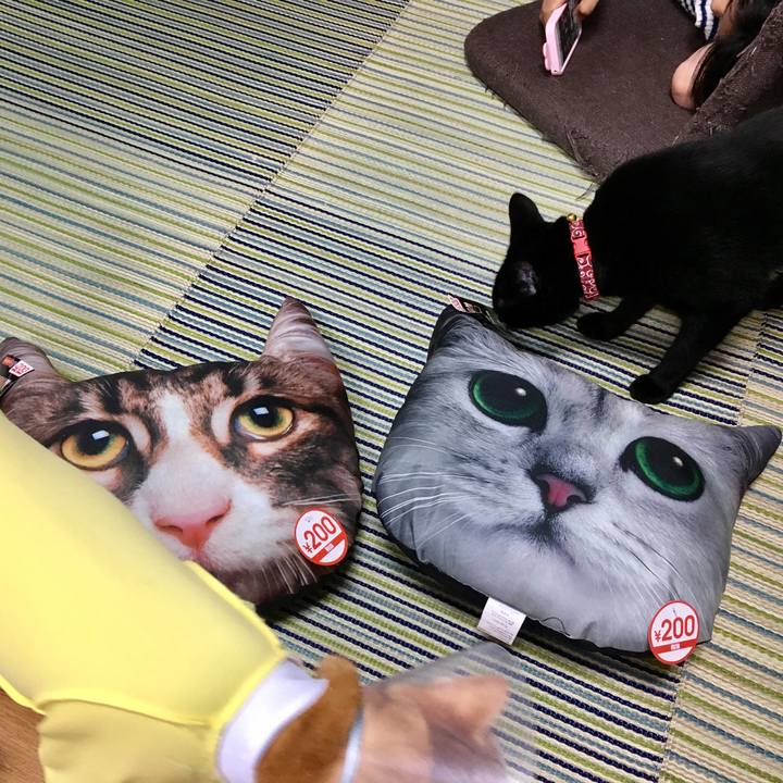 5f92090b 4cbf 40fe 810b 5fb482b4fe6c