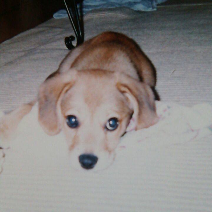 5f927798 f363 418c 8ccb a4724babe98e