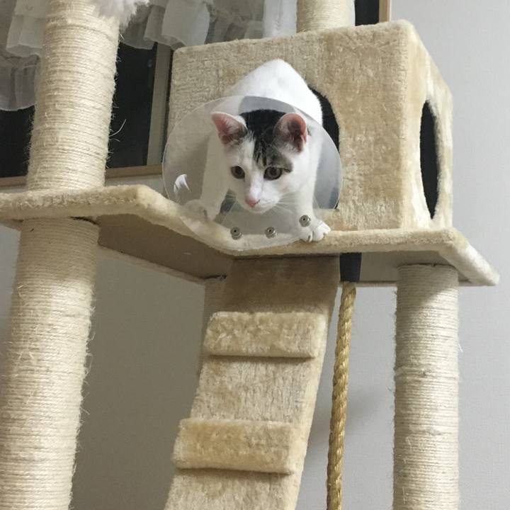 5f928128 83a8 457d bc92 eed5ba2ed646