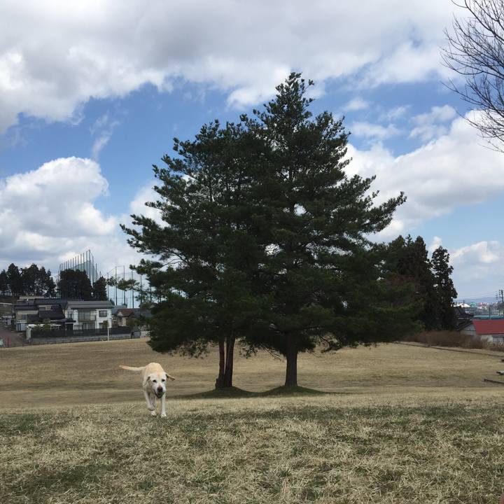 5f928582 e95f 47a9 ab49 d6b84cb9fe34