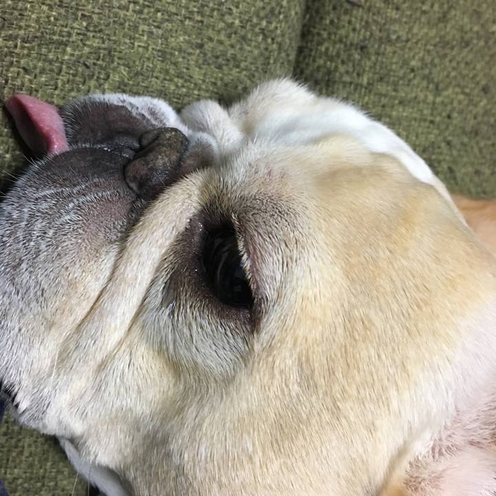 5f949816 4241 40bd be39 afb76edc417a