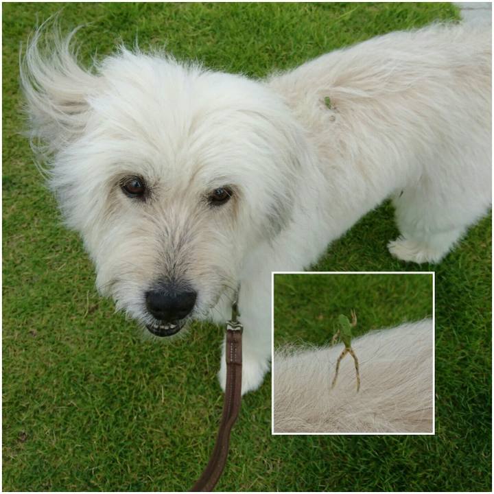 5f9524fb 79a3 4f5e 8c3e b49e756f1868