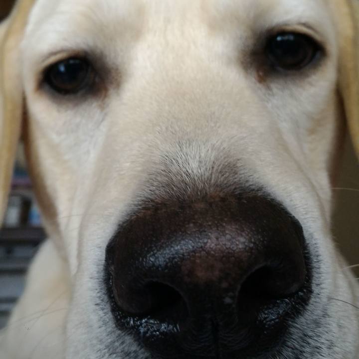 5f96236a 6ed5 45b7 ac41 fcea0202373e