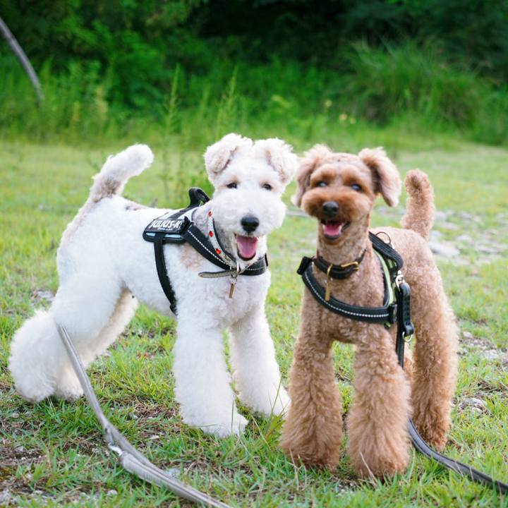 5f96ba09 8241 46e7 9021 88068624af9a