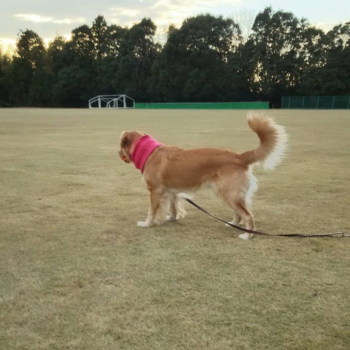 5f96e527 6b50 4534 bb58 1c61a5ada945