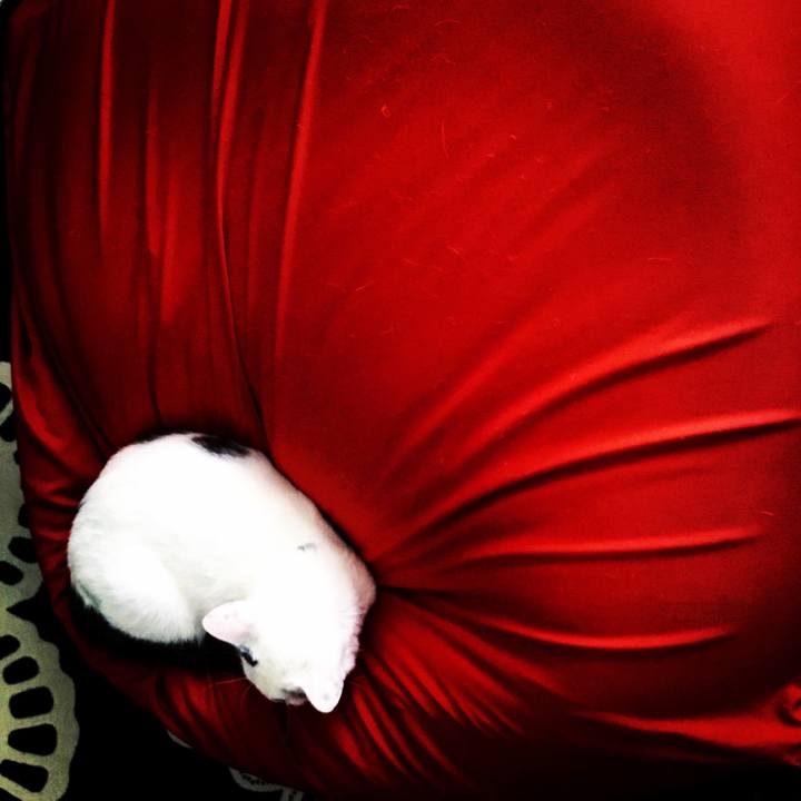 5f97031b 1fce 41fa 8c09 22ef3c8e8eed