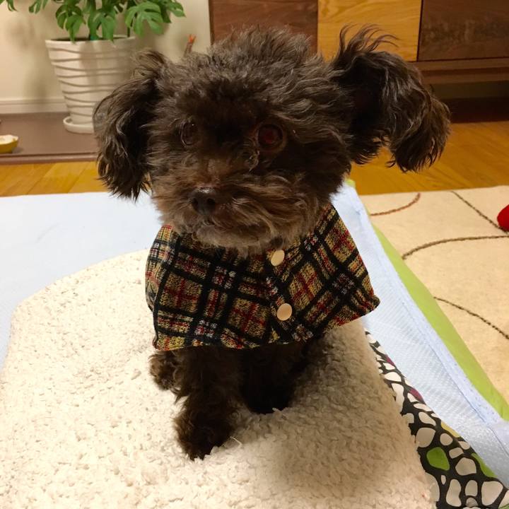 5f97daf7 1a38 4fb9 b956 19a72a7279b5